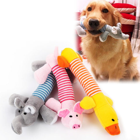 Pet Chew Toys