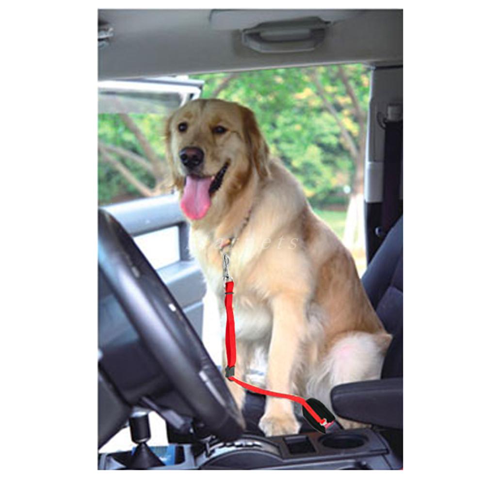 Safety Belt Pet Walking Harness