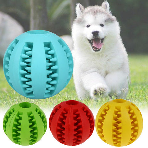 Pet Interactive Rubber Ball