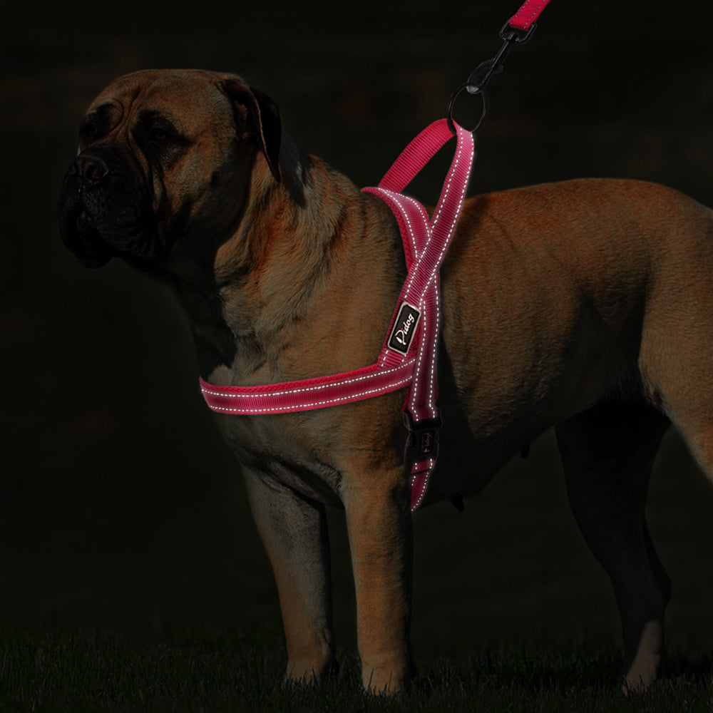 Reflective Dog Harness