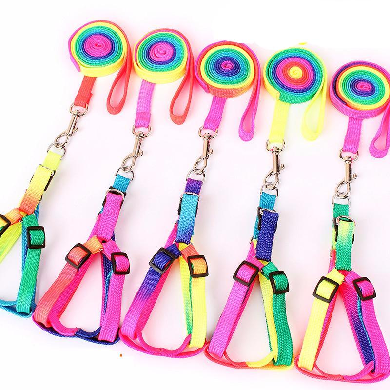 Colorful Pet Harness