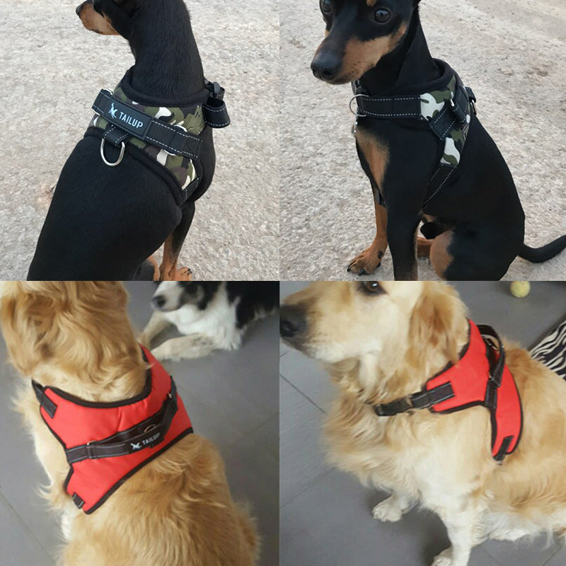 Comfy Glowing Pet Harness