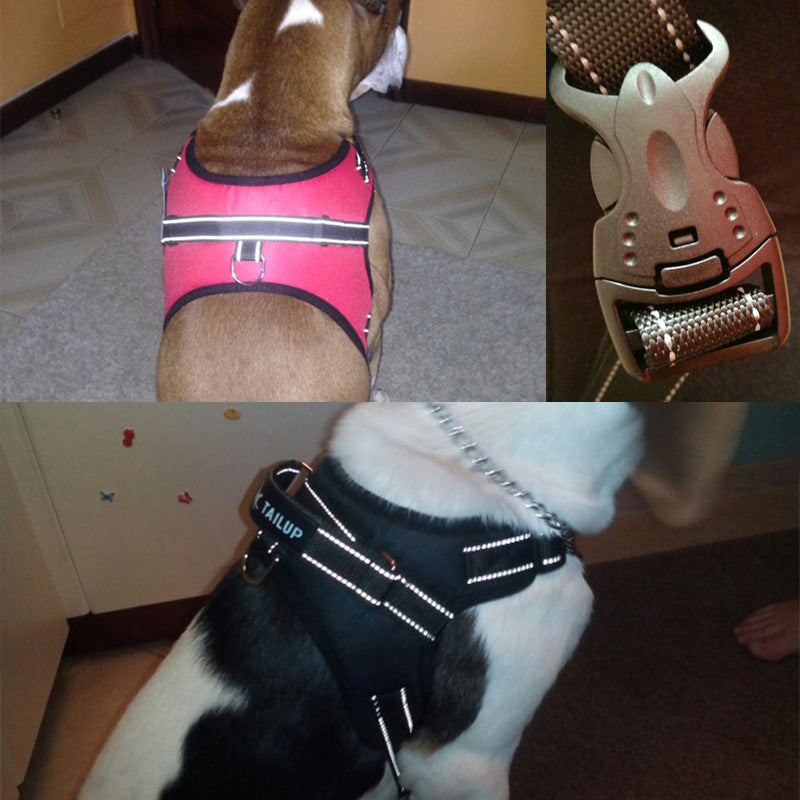 Comfy Glowing Pet Harness