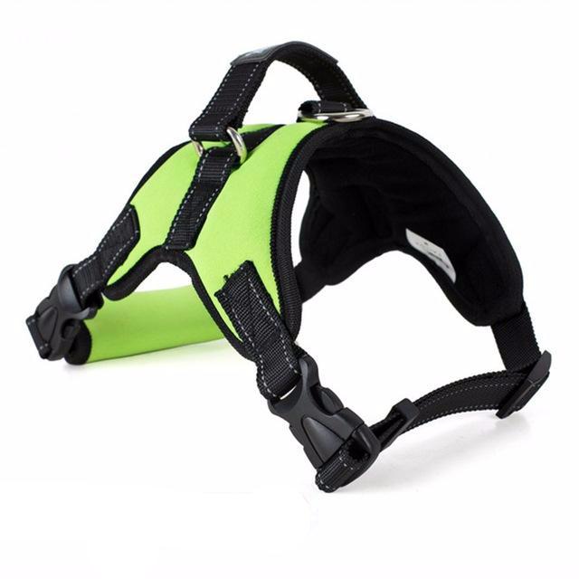 Comfy Glowing Pet Harness