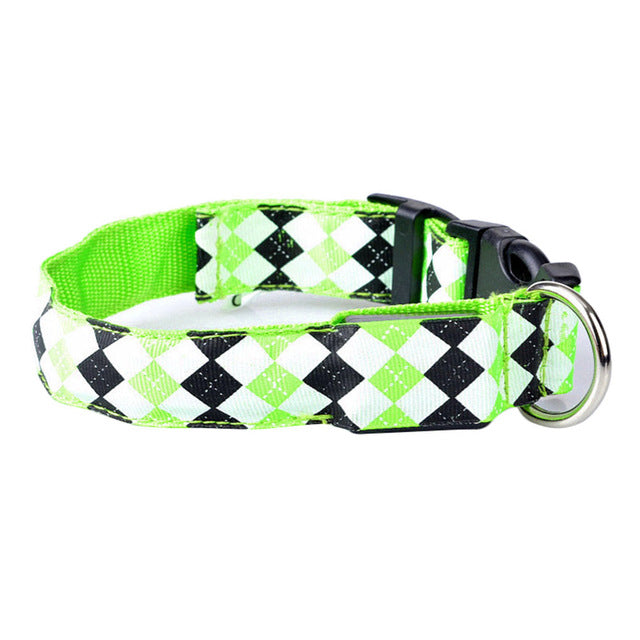 LED Pet Collar