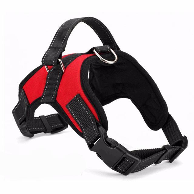 Comfy Glowing Pet Harness